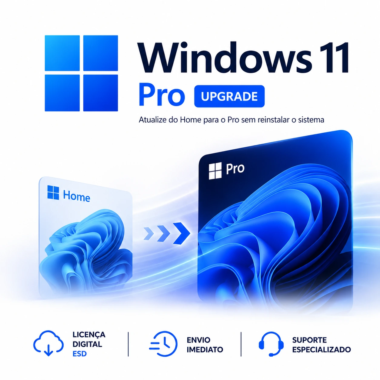 Windows 11 Pro Upgrade