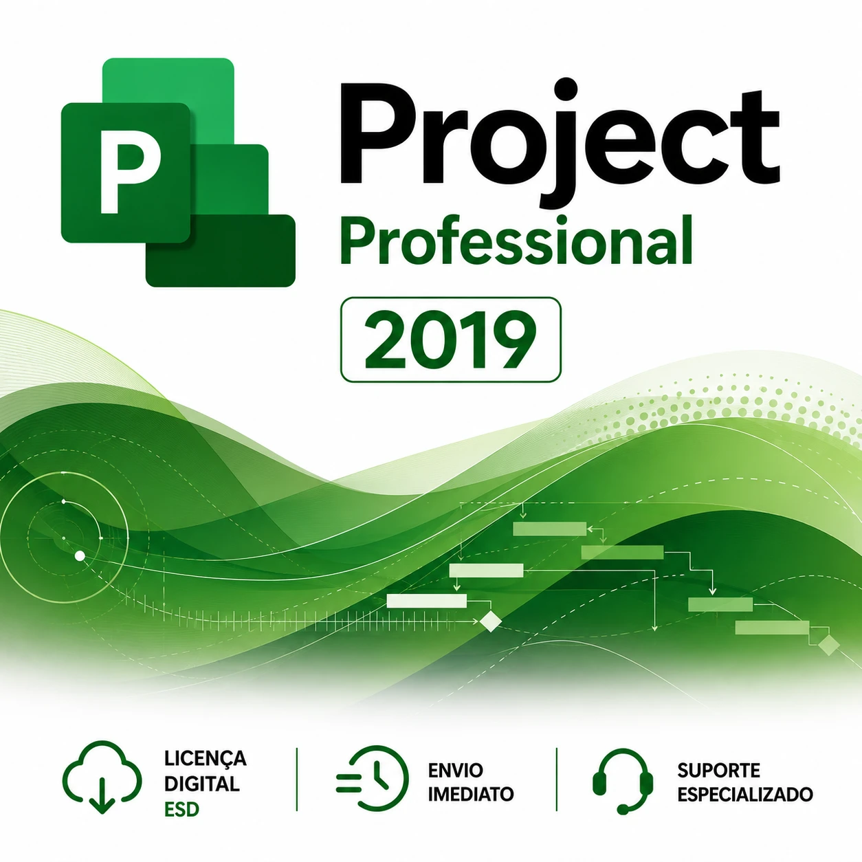 Microsoft Project Professional 2019